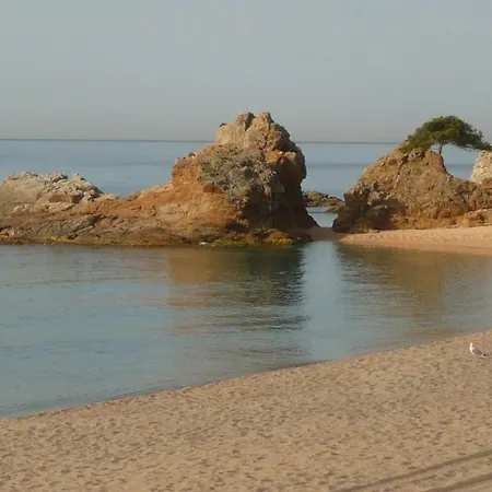 Appartement Apartamento Narcis Lloret de Mar